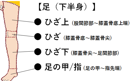 HP メンズ 足