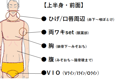 HP メンズ 上半身前面