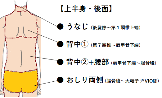 HP メンズ 上半身後面