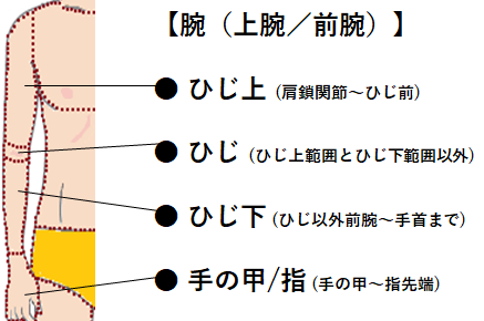 HP メンズ 腕