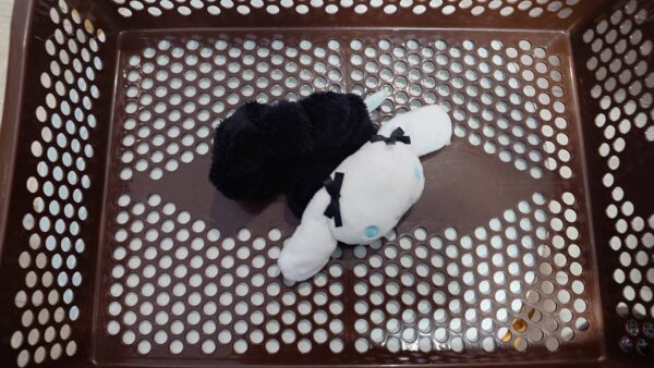 お忘れ物